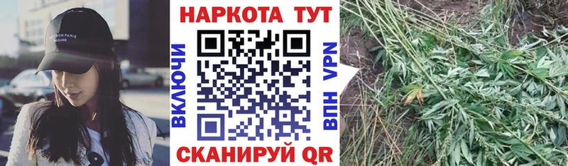 Виды наркотиков купить Пудож Меф 