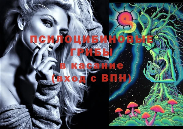 молекула духа Кукмор