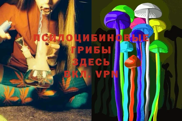 ECSTASY Видное