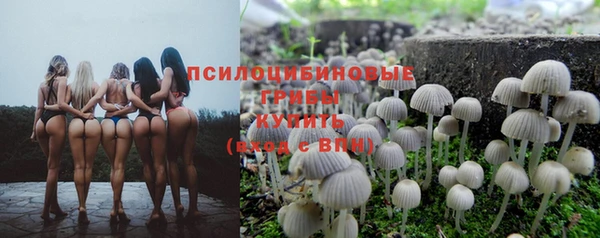 молекула духа Кукмор