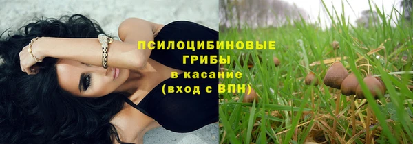 эйфоретик Кулебаки