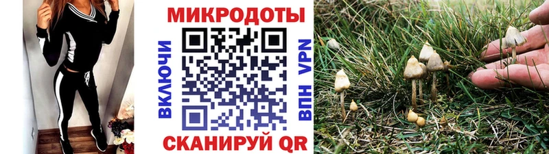 Галлюциногенные грибы Psilocybe blacksprut ссылки Пудож